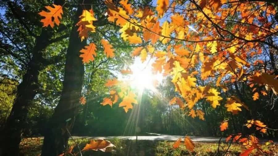 Weather tomorrow: Minus in the morning, sun by day
