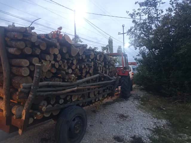 Action in Lipjan against illegal cuts, confiscated two tractors and a nation of wood