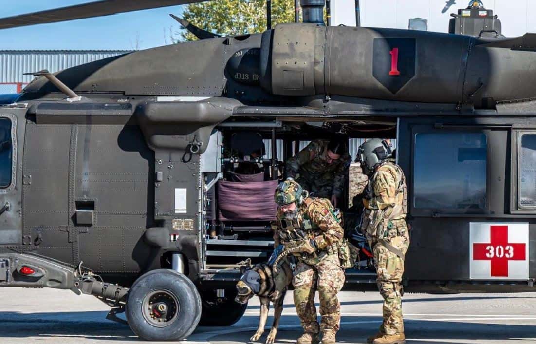KFOR holds drills for evacuation of injured helicopter dogs in Kosovo