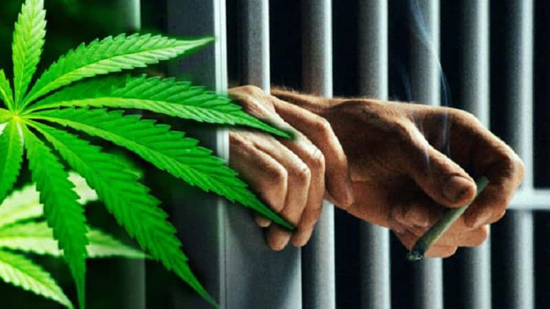 Exclusive Police stop a car in Ulpiana, find marijuana and knife these are three young people who ended up stopping.