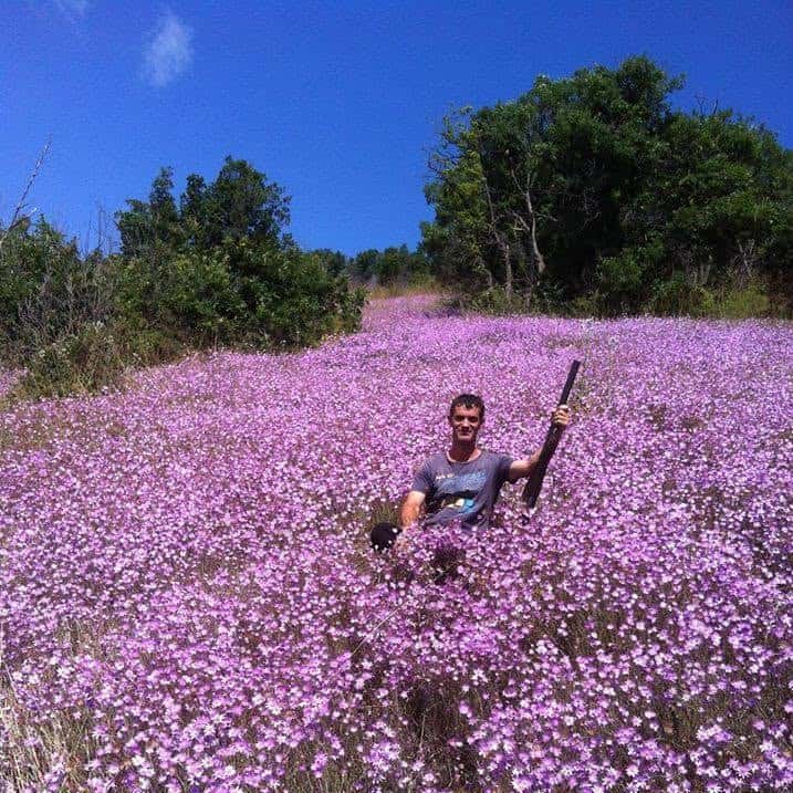 Two weeks from the murder of Bajram Arifi, suspect has not yet been apprehended