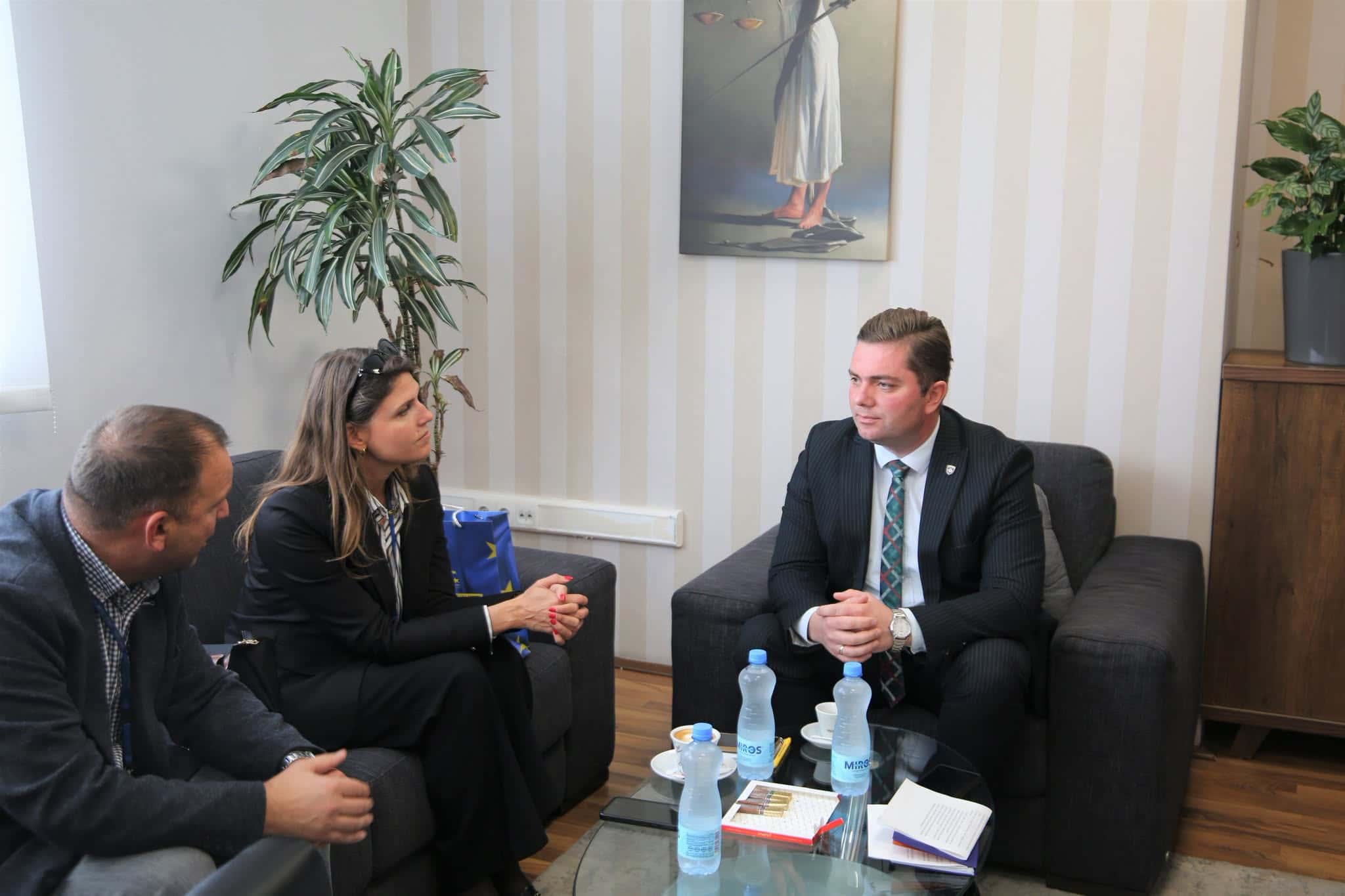 Family and gender-based violence Qavolli holds meeting with EULEX representative