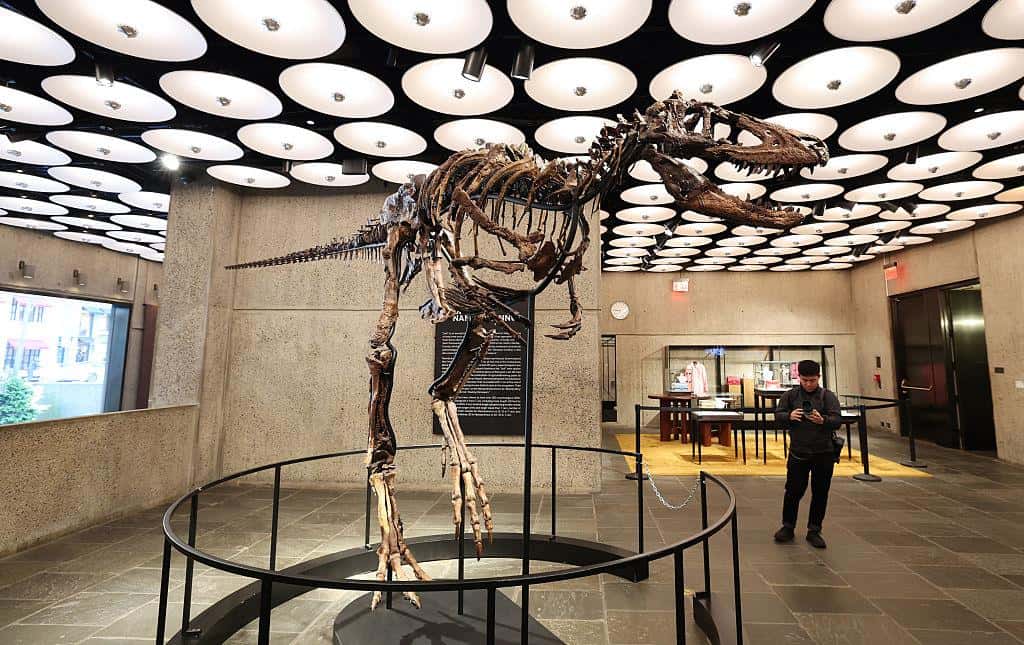 Rare dinosaur skeleton sold for 42m euros, price shocks auction world