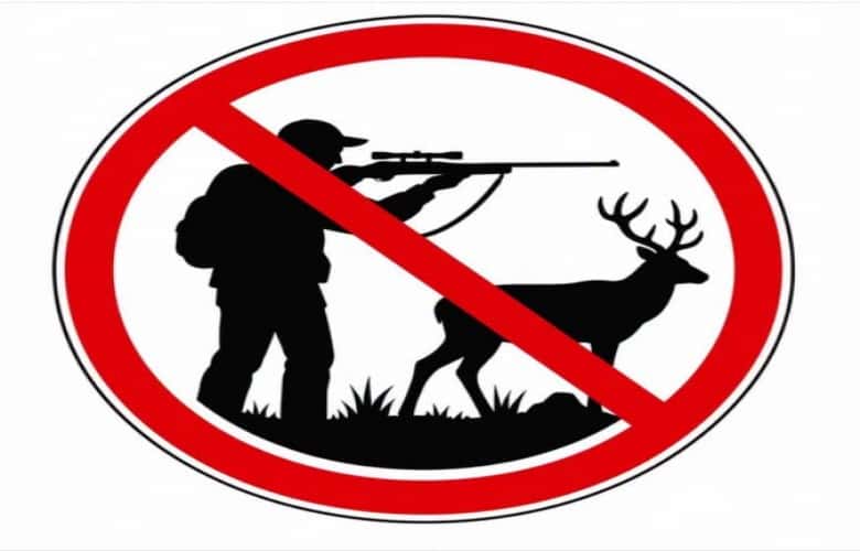 Pacolli: Hunting banned in the Nemunian Brits and Sharrie